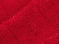 Luxe Cuddle Bobcat with Red Hide 72"x60" XL Adult Minky Blanket