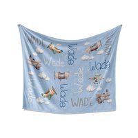 Vintage Airplane Baby Blanket with Name